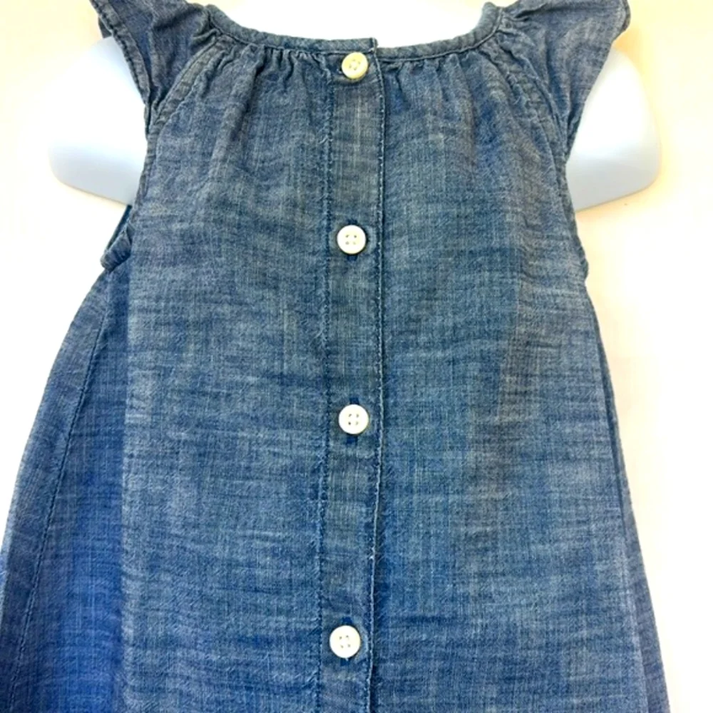 GAP | Blue A-line Button Front Chambray Dress with Floral Detailing